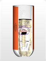 Regular Float Shoe